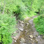 Gostynnyi Dvir U Marichky Guest house
