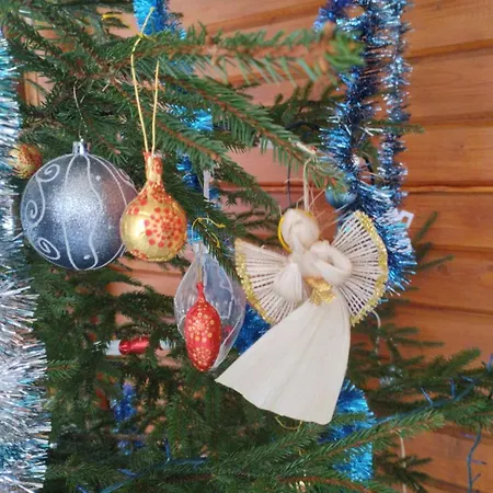 Gostynnyi Dvir U Marichky Guest house