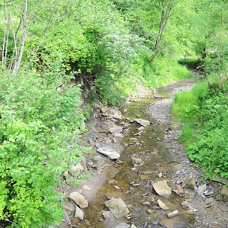 Gostynnyi Dvir U Marichky Guest house