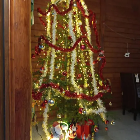 Guest house Gostynnyi Dvir U Marichky Lazeshchyna