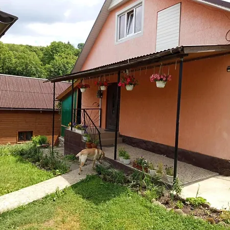 Gostynnyi Dvir U Marichky Guest house