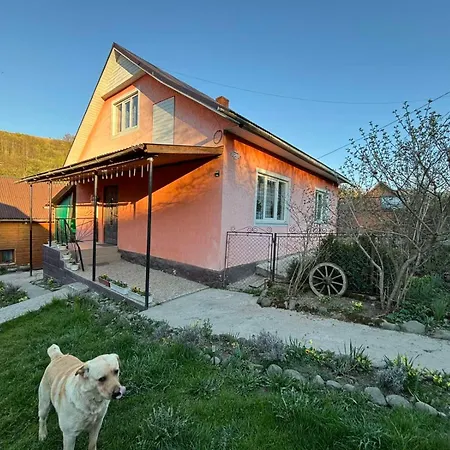 Guest house Gostynnyi Dvir U Marichky