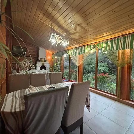 Gostynnyi Dvir U Marichky Guest house