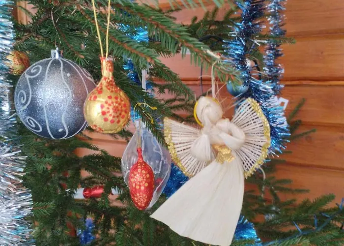 Gostynnyi Dvir U Marichky Konukevi