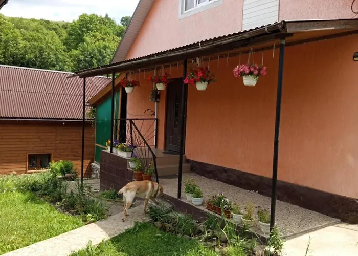 Gostynnyi Dvir U Marichky Konukevi