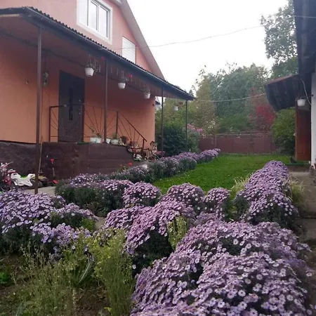 Gostynnyi Dvir U Marichky Lazeshchyna