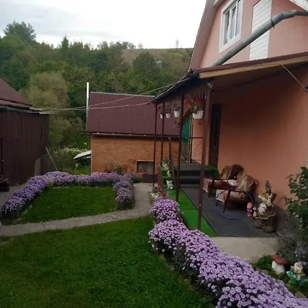 Guest house Gostynnyi Dvir U Marichky