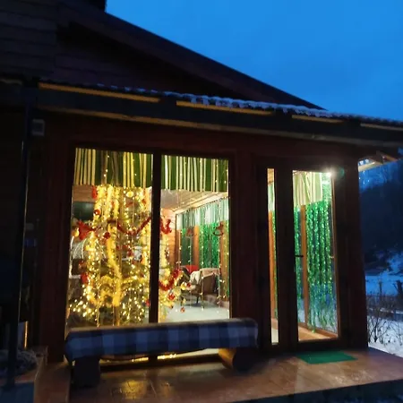 Gostynnyi Dvir U Marichky *